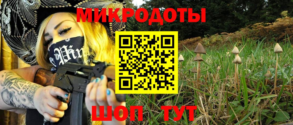 Галлюциногенные грибы GOLDEN TEACHER  купить наркотик  Сибай  Вход с VPN 
